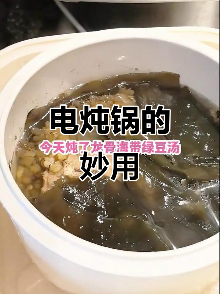 入手苏泊尔电炖锅,隔水炖汤鲜美又省力!
