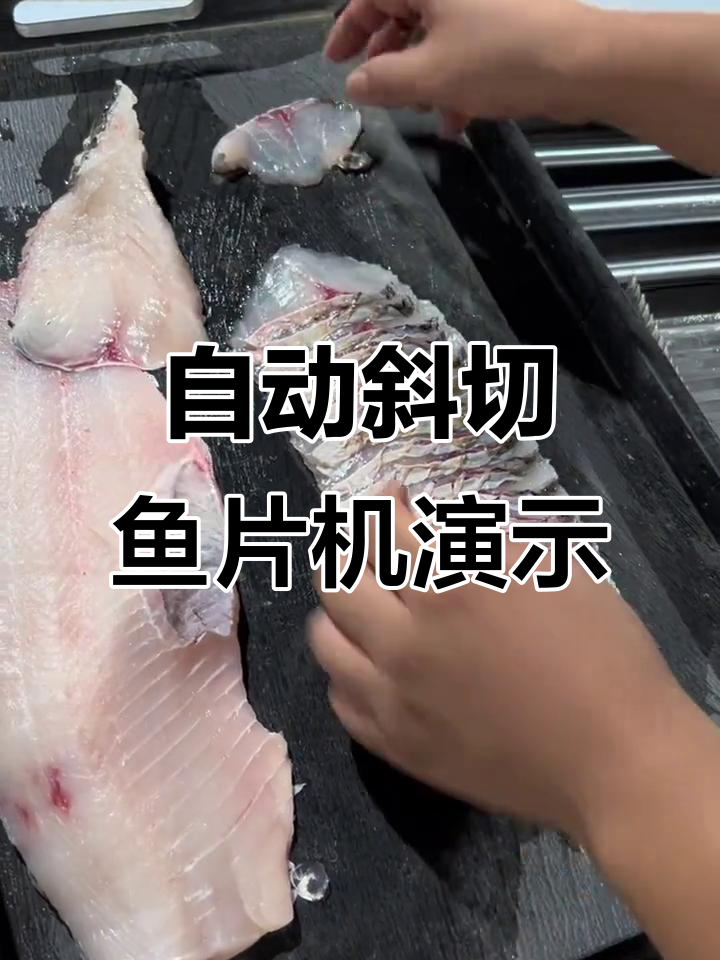 全自动斜切鱼片机,黑鱼切片效果惊艳展示