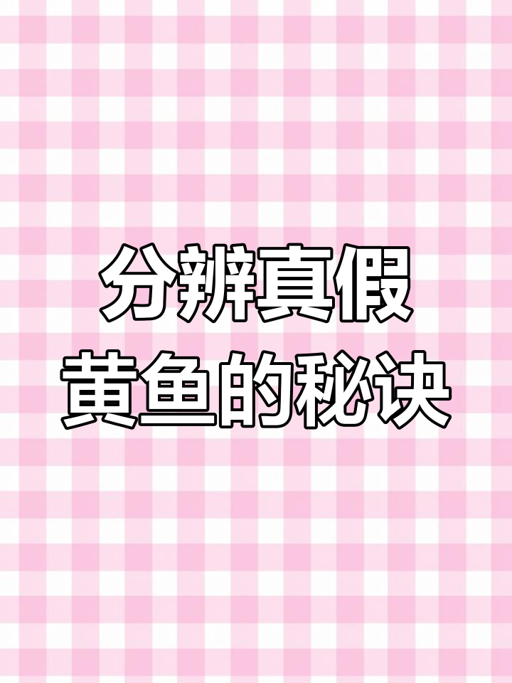 如何区分野生与养殖大黄鱼?掌握这些技巧轻松辨别