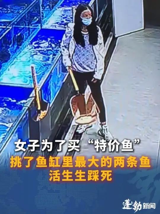 女子为了买超市的“特价鱼”,挑了鱼缸里最大的两条鱼,活生生踩死!店员:这是她第二次来了,第