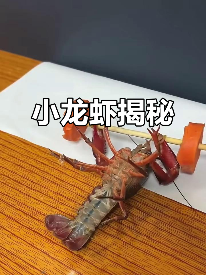 小龙虾的秘密：从螯虾到美味佳肴