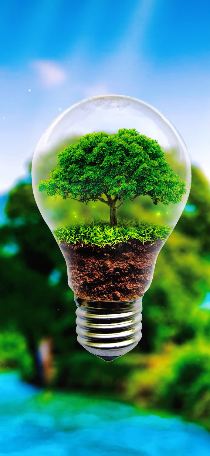 微观风景～绿意盎然～治愈系风景壁纸