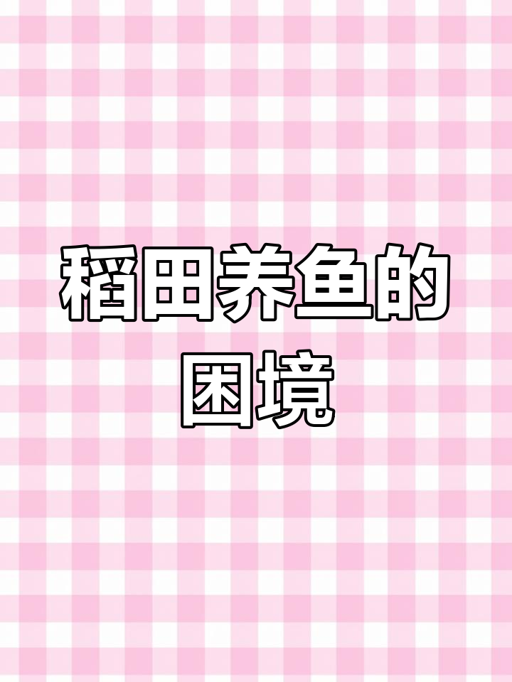 稻田养鱼为何逐渐被淘汰?农民如何避免亏损