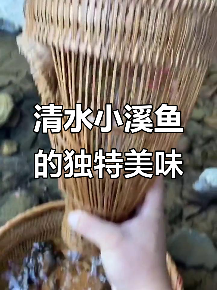 小溪鱼的美味秘密:马口与石斑的清甜口感