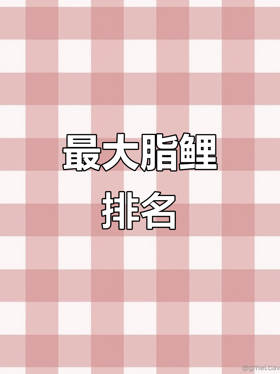 红影版淡水白仓:便宜又好养,水族馆常见巨型鱼种