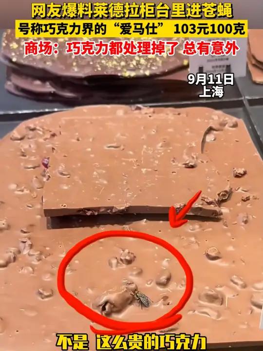 网友爆料莱德拉柜台里进苍蝇,号称巧克力界的“爱马仕” 103元100克,商场:巧克力都处理