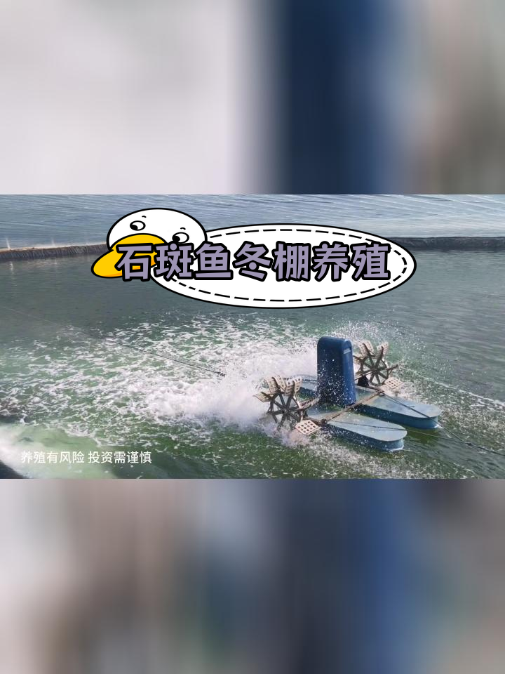 冬季石斑鱼孵化与养殖技术