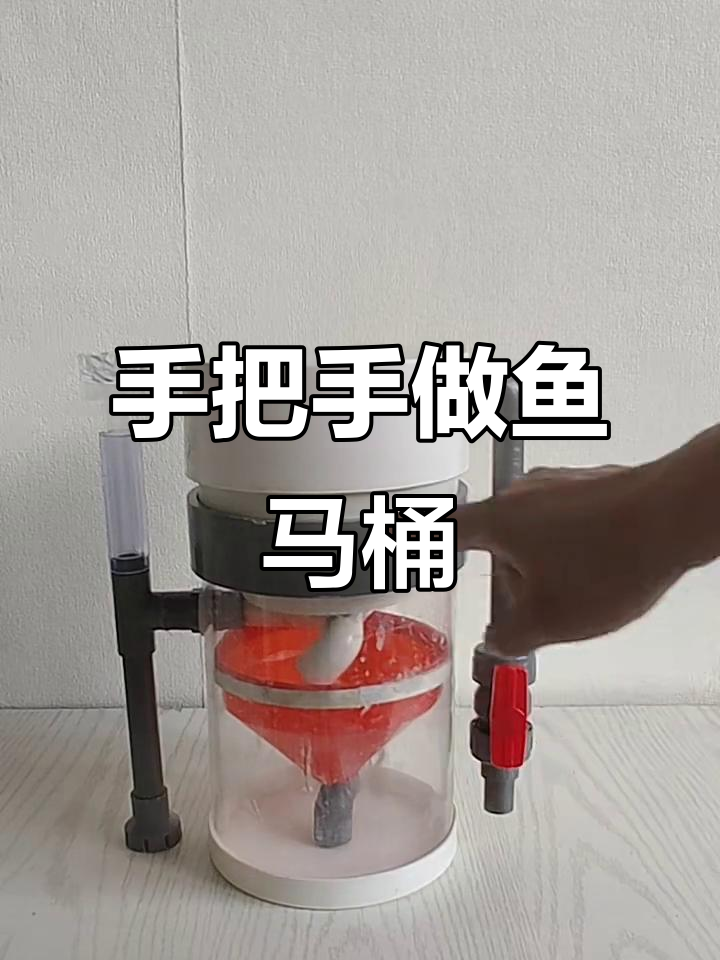鱼马桶工作原理揭秘:如何层层拦截污水