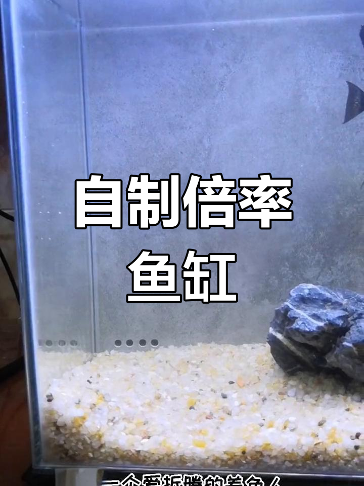 鱼缸背滤改造教程