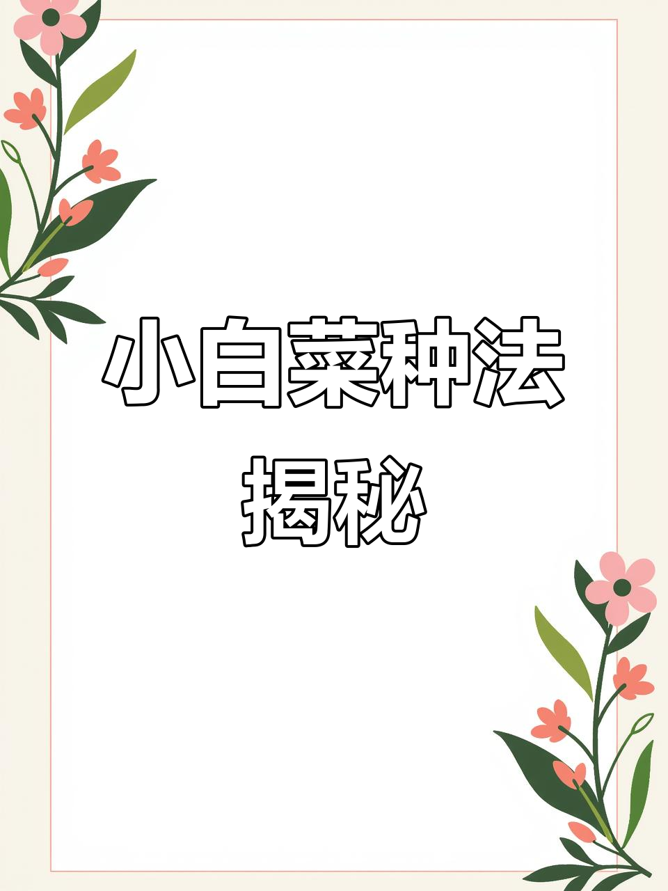 立秋后如何种植小白菜？简单步骤教你轻松搞定