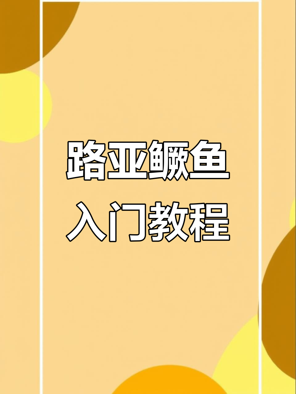 经典防挂底德州钓组使用指南,新手必学技巧