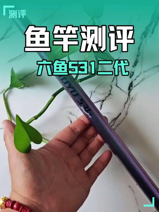新手鱼竿如何选?年轻人第一款好竿!鱼竿界的又一款黑马!拆箱体验6鱼531二代!数据让人震惊