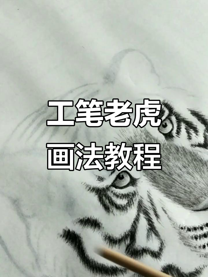 精细刻画老虎斑纹,掌握工笔画法技巧