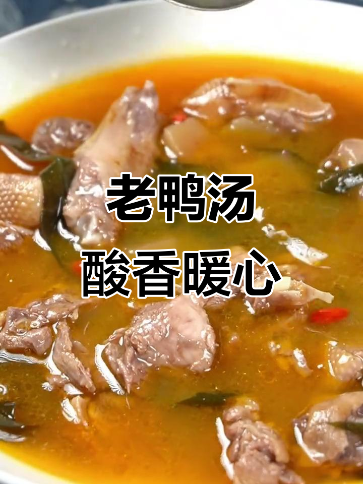 冬季暖心必备!毛哥老鸭汤酸香开胃,防寒又美味