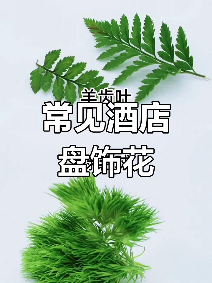 酒店常用花草装饰,提升美食格调