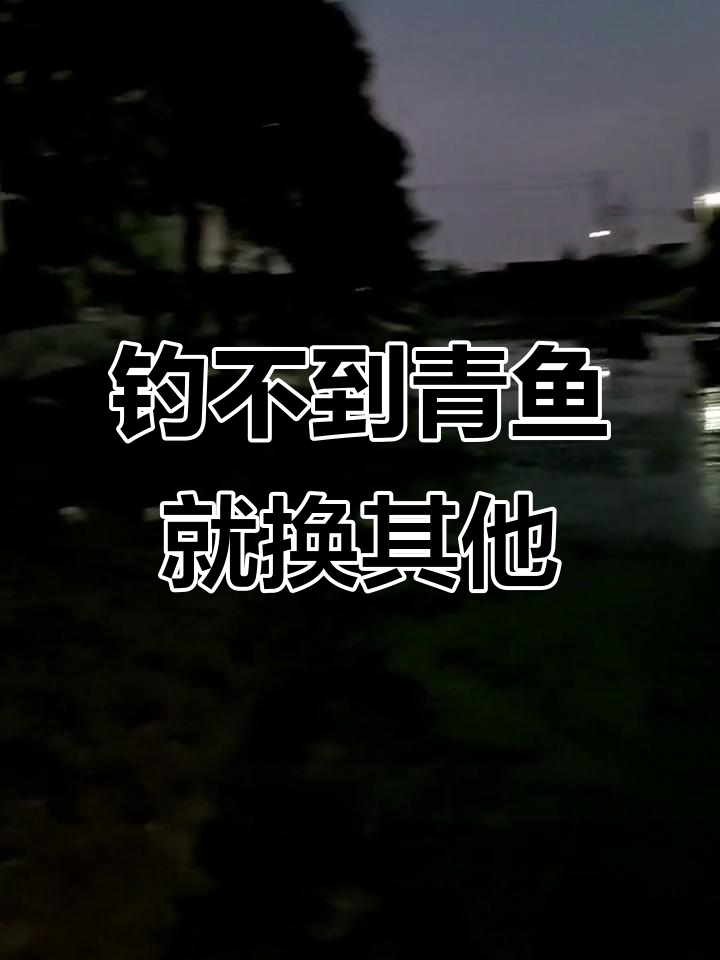 钓鱼人从不空手而归,青鱼搞不到就换草鱼