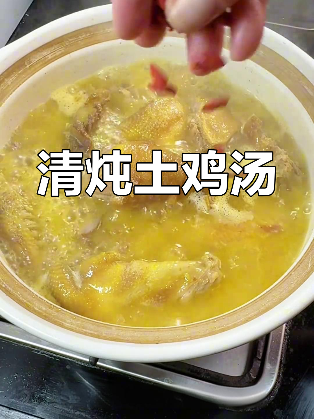 营养满满的清炖土鸡汤,鲜美不腥