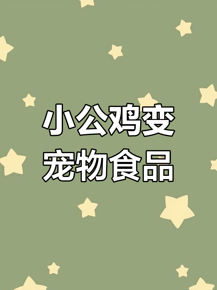 每年70亿小公鸡被绞碎做猫粮,真相竟然是这样!