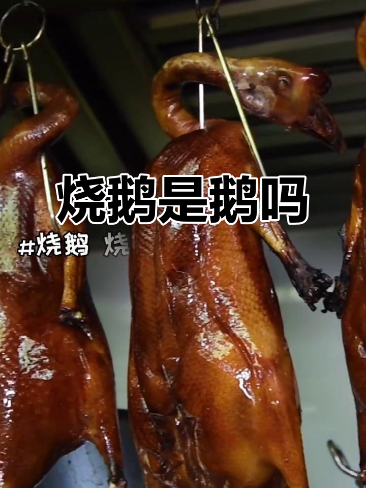 烧鹅到底是鹅还是鸭？教你分辨青鹅和鸭摊头