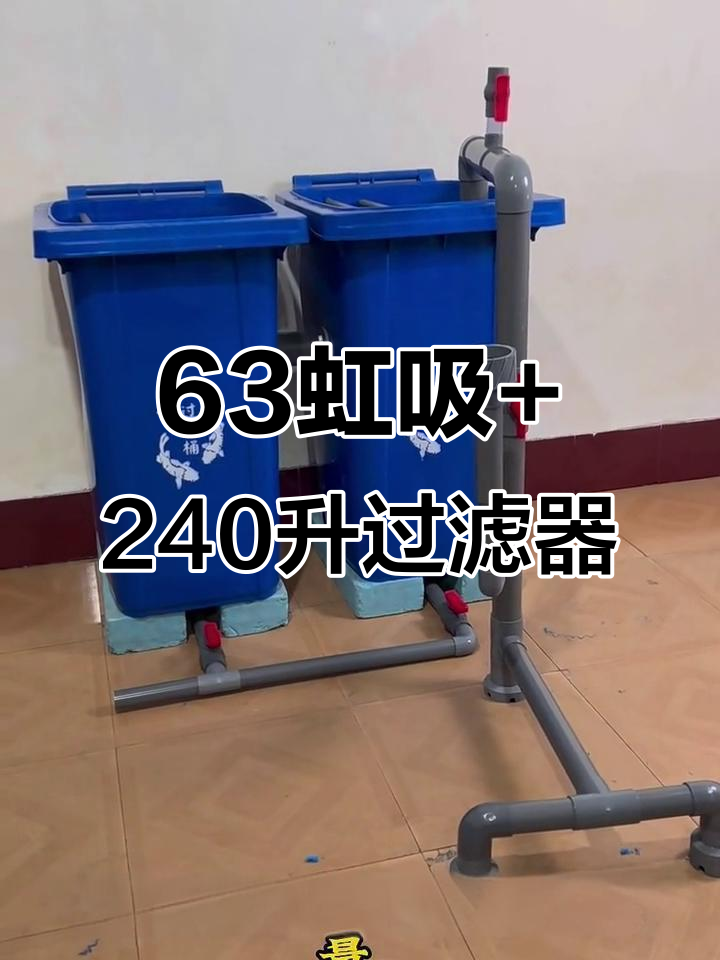63虹吸搭配240升垃圾桶过滤,轻松打造高效锦鲤鱼池