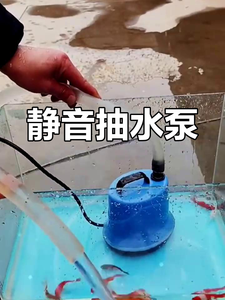静音吸水泵,360度旋涡设计,防干烧功能让鱼箱换水更轻松