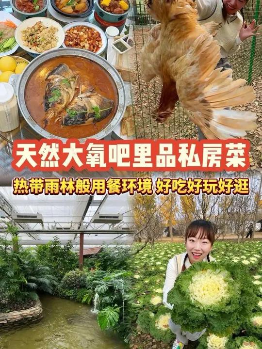 在南宫热带雨林般的用餐环境里品好吃的私房菜!刷到先囤上!11好省季 超划算逛吃指南 冰雪温