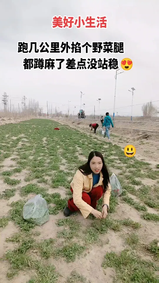 内地朋友见过吗？新疆特产木须是真正的绿色有机野菜！