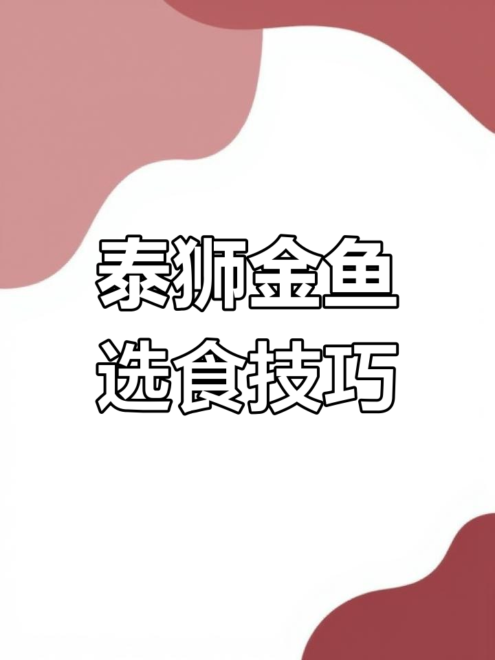 如何挑选适合泰狮金鱼的鱼粮?掌握这些关键点