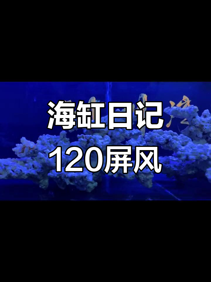 沉浸式海缸造景，120屏风下的海洋世界
