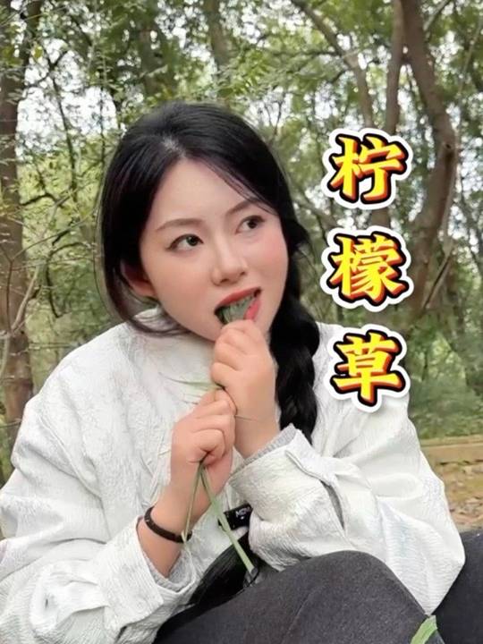 柠檬草不起眼，可散柠檬香，还能做泰国菜？