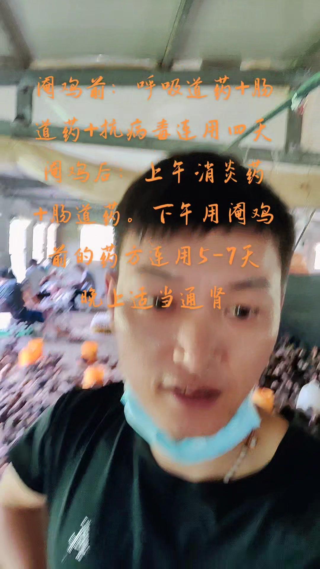 我的乡村生活 记录真实生活 养阉鸡,关注我 乡村守护人