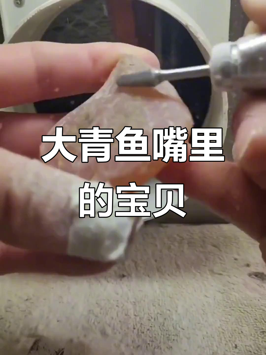 青鱼石:活玉般的秘密,竟藏在大青鱼的嘴里