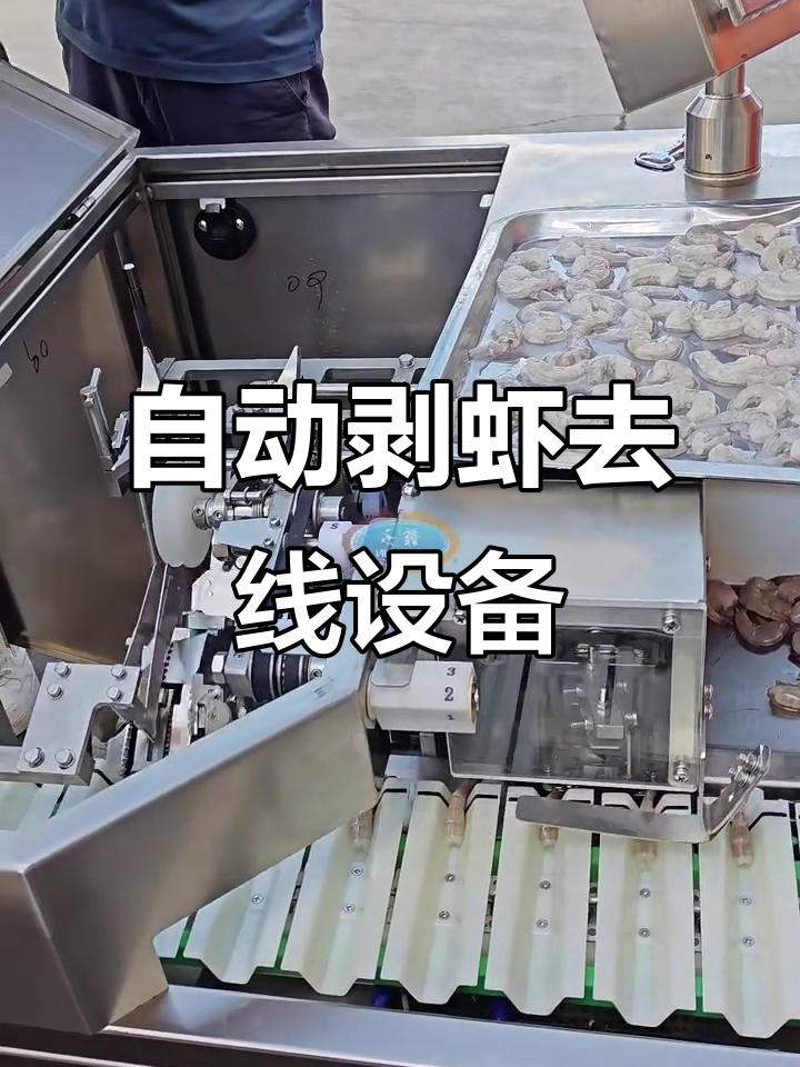 全自动剥虾机，轻松去线取仁，提升效率