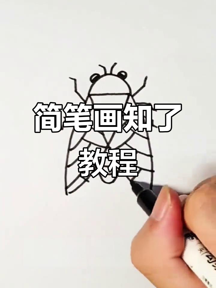 亲子创意儿童画:知了蝉鸣叫声,简单步骤教你画出小动物