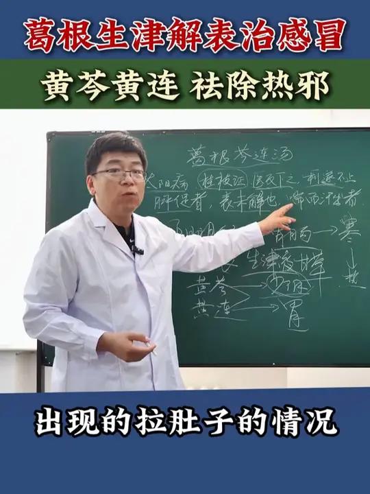 葛根生津解表治感冒,黄芩黄连祛除热邪 #抖出健康知识宝藏 #中医脉诊 #健康科普不基础 #