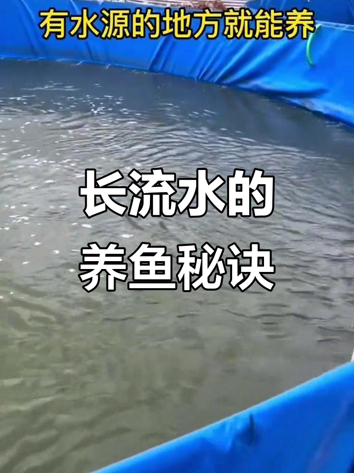 镀锌板帆布鱼池:长流水养殖,助力三农发展
