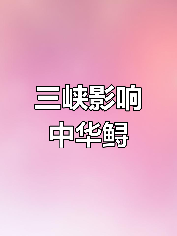 三峡大坝与中华鲟濒危的真相