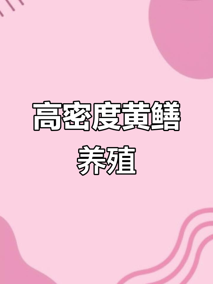 黄鳝养殖网箱安装现场,高密度养殖技术指导