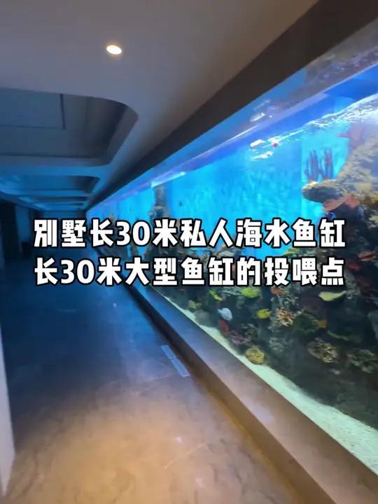 长30米私人海水鱼缸的投喂点,是怎样的呢?