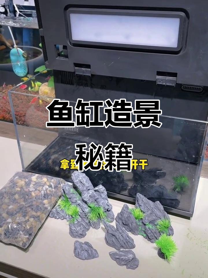 小米鱼缸轻松造景,小鱼加入瞬间美爆!