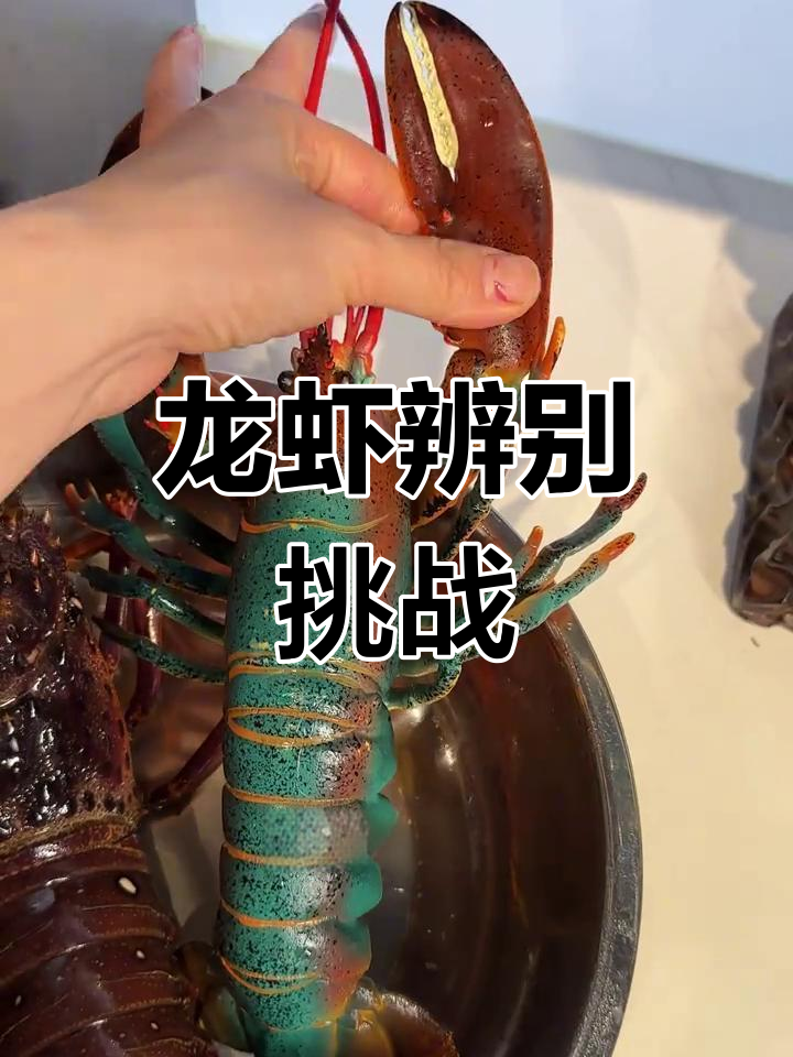 龙虾真假大揭秘,三种类型你能认全吗?
