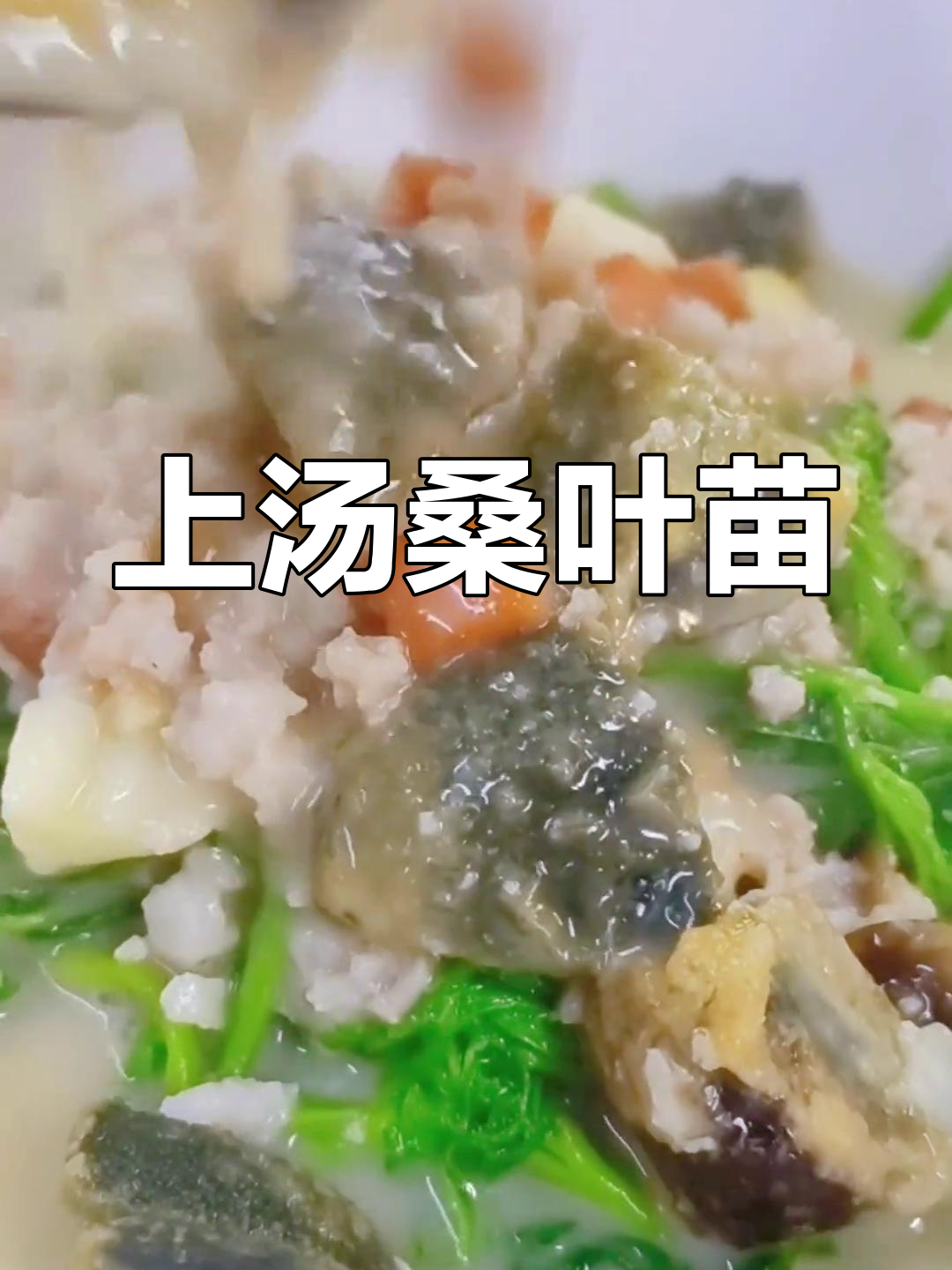 鲜嫩桑叶苗,清爽上汤必试