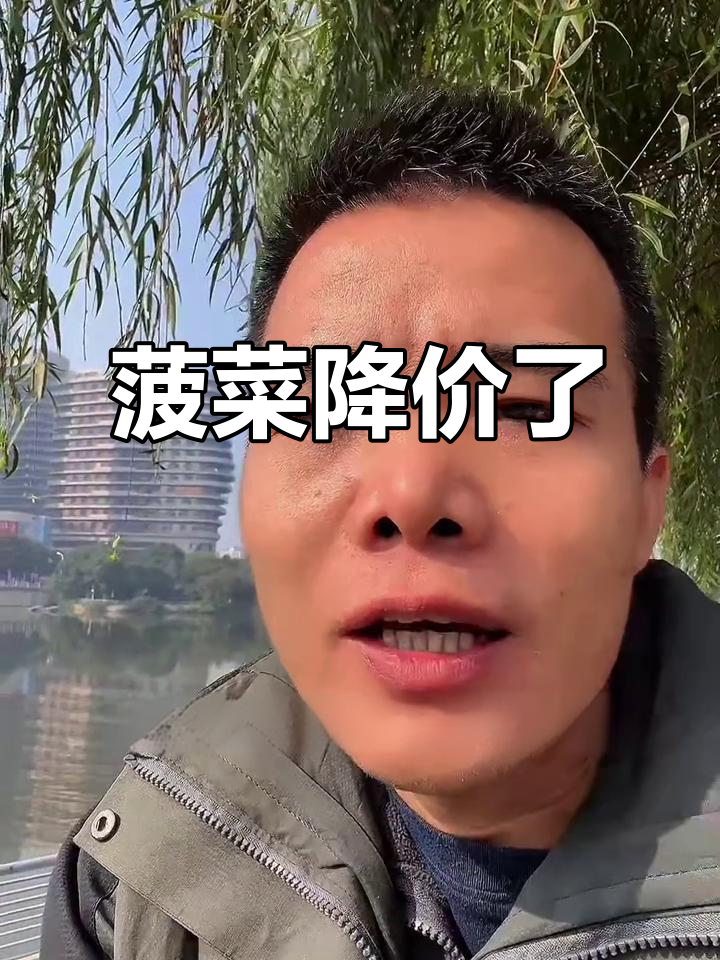 菠菜价格大跌,县城竟曾卖到7.5元一斤!
