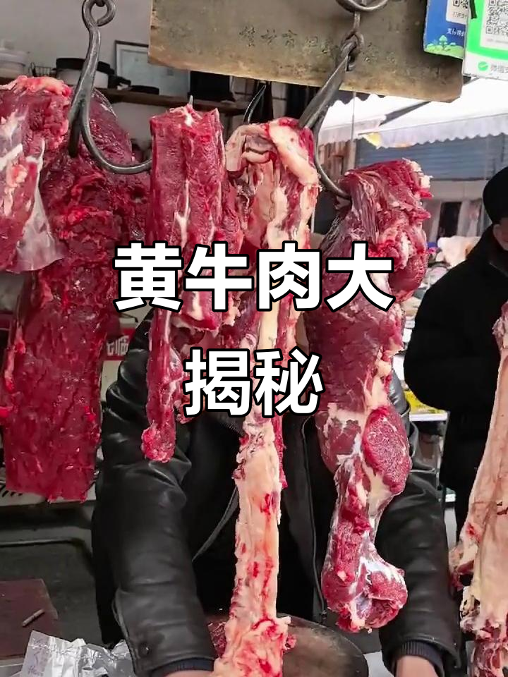 跨省买黄牛肉,40元一斤超值!桂林菜市场探秘