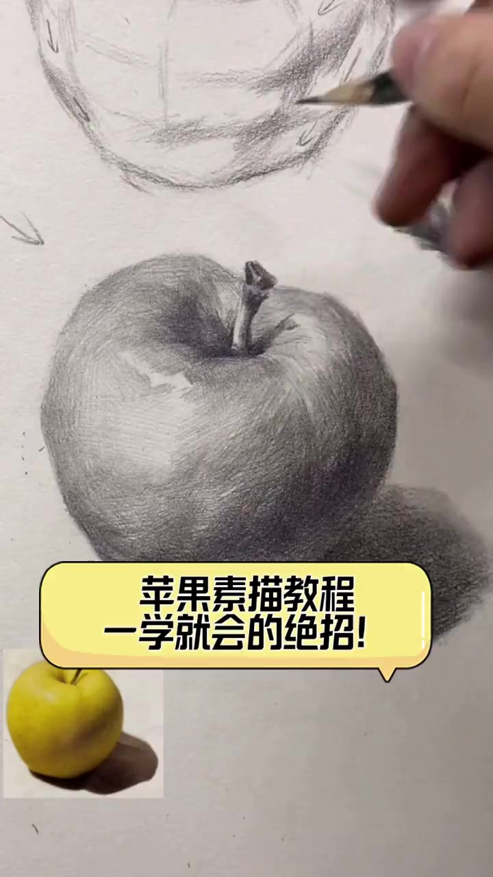 苹果素描教程,一学就会的绝招!