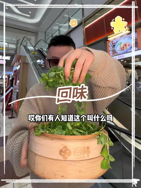 17.9在回味吃鸭血粉丝汤、秧草汤包、酸梅汤