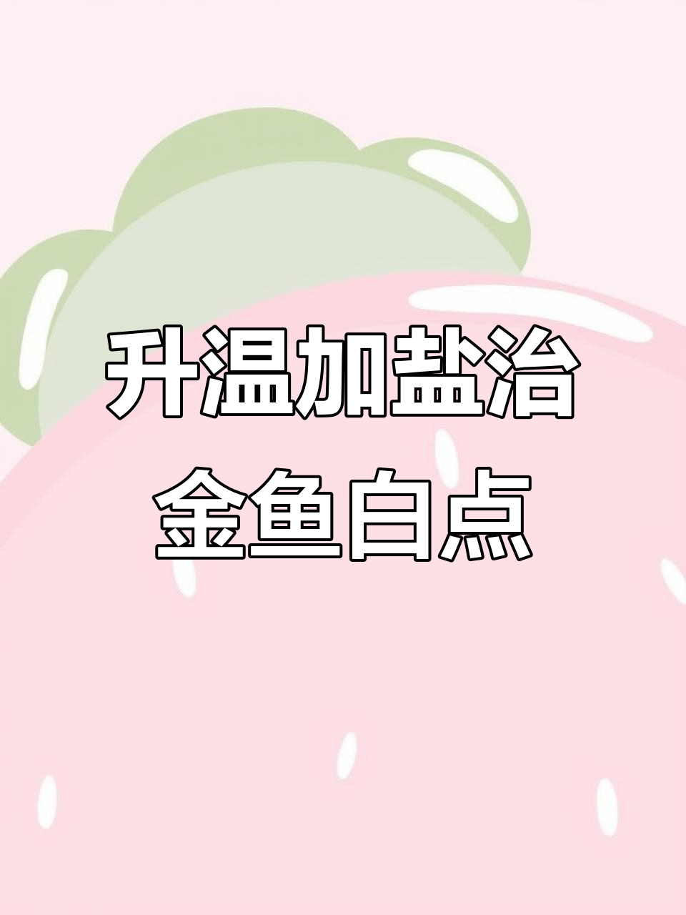 金鱼长白点？升温加盐治疗法，轻松解决寄生虫问题