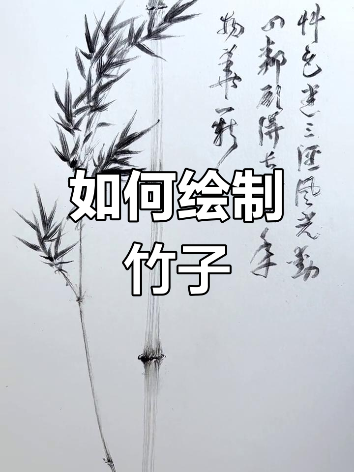 铅笔画竹子技巧,轻松学会国画四君子
