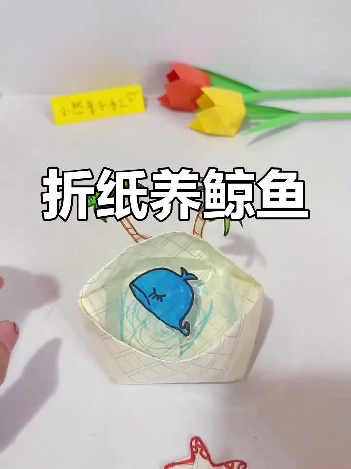 用纸板做鲸鱼,最后那条是什么神秘鱼类?
