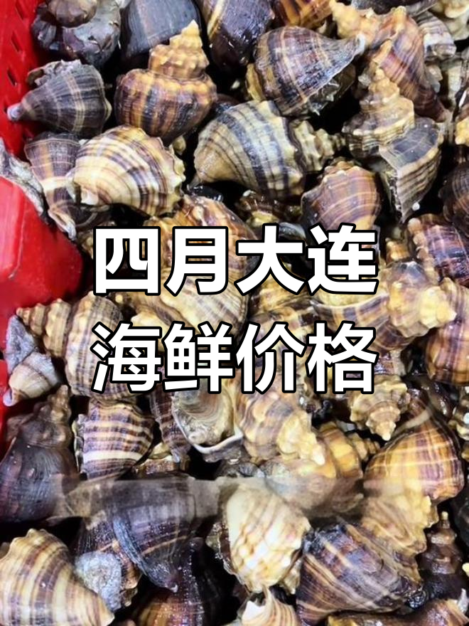 4月14日大连海鲜市场:虾爬子肥美,姜螺鲜嫩